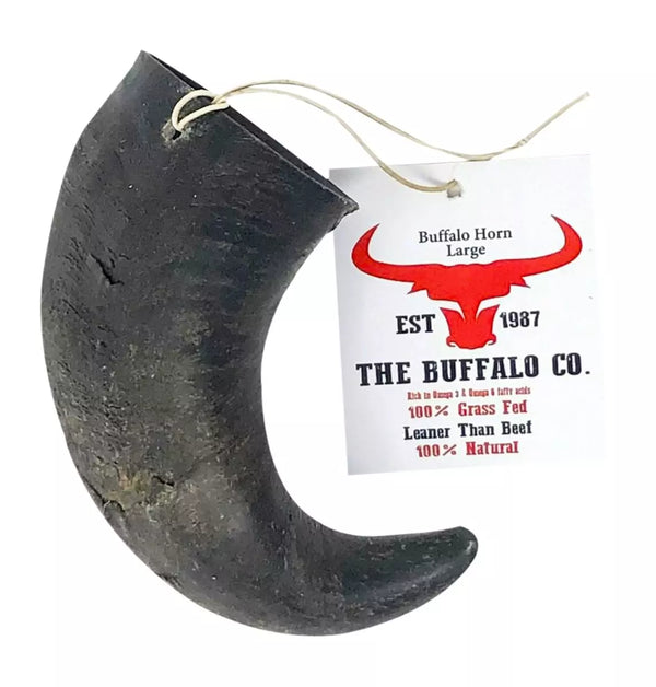 Large Buffalo Horn Dog Treat